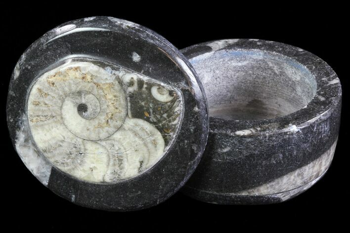 Small Fossil Goniatite Jar (Black) - Stoneware #66597